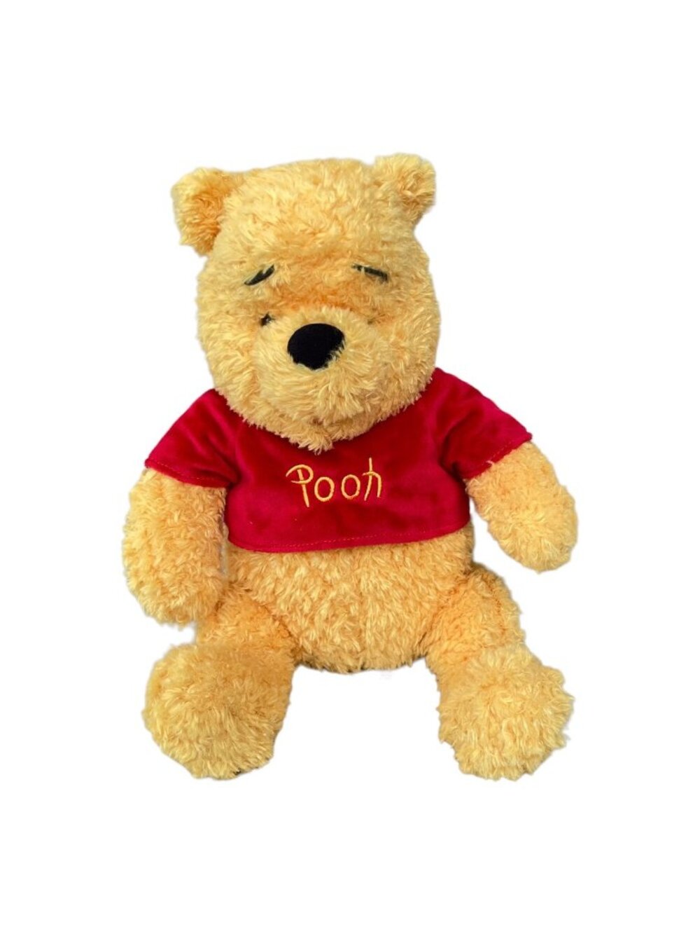 Disney Parks Winnie the Pooh Bear Plush